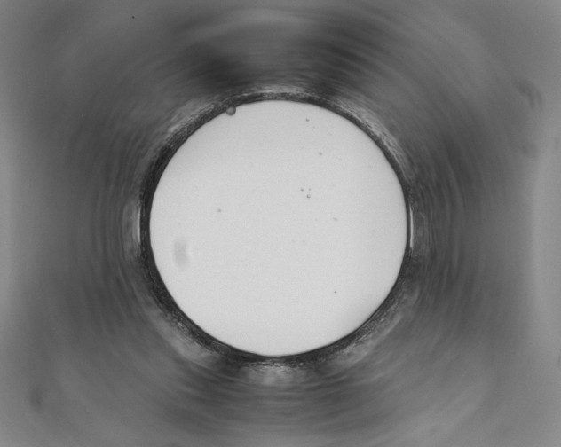 X0000111210253200907291257