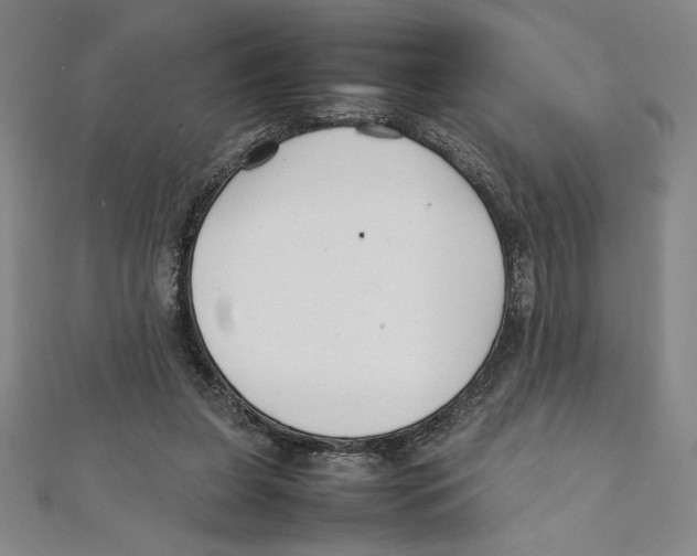 X0000111210255200907291257