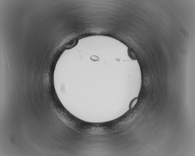 X0000111210256200907291257