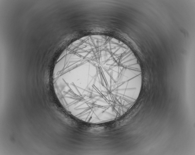 X0000111210257200907291257
