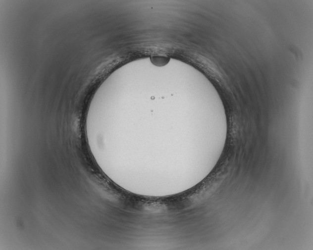 X0000111210258200907291257