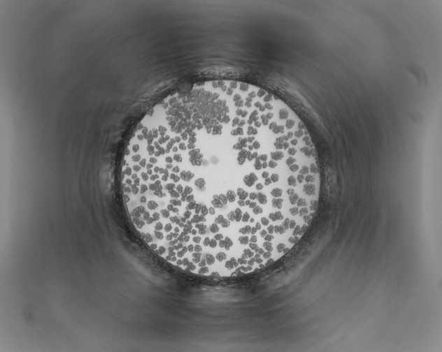 X0000111210259200907291257