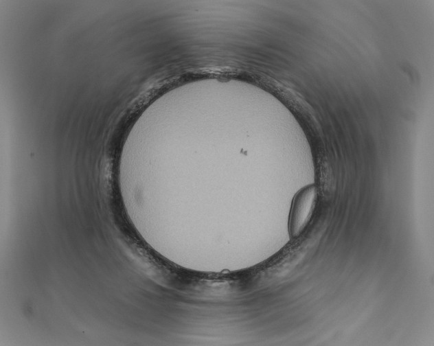 X0000111210260200907291257