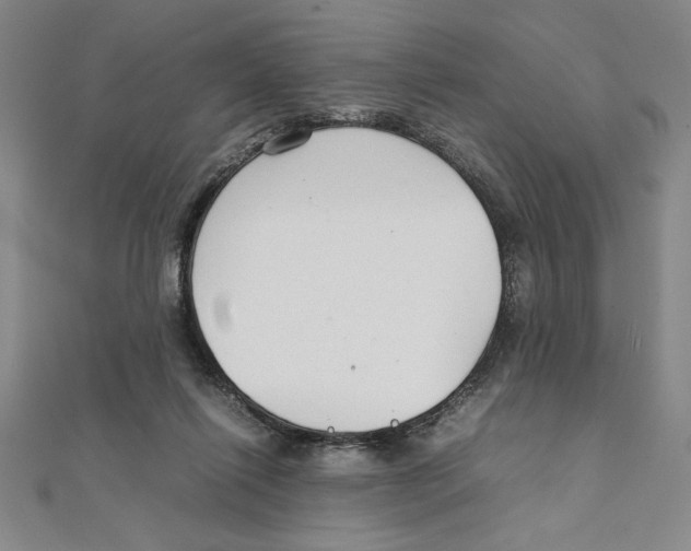 X0000111210262200907291257