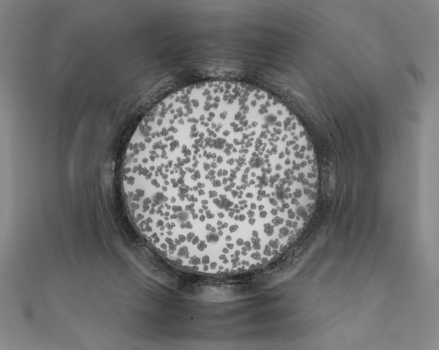 X0000111210263200907291257