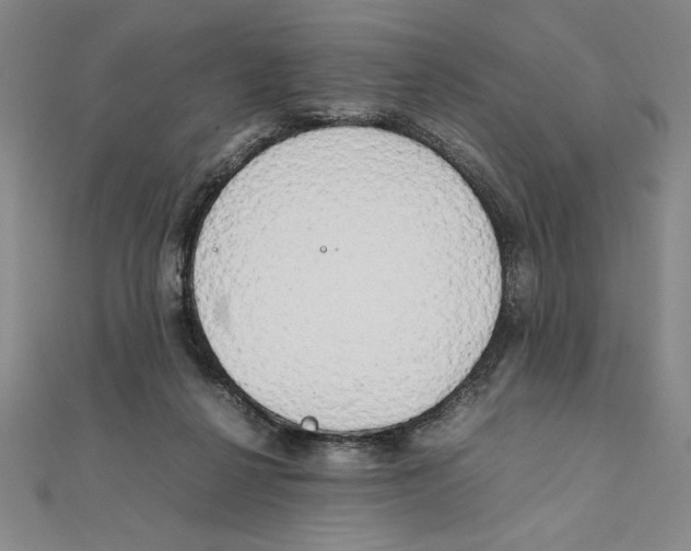 X0000111210264200907291257