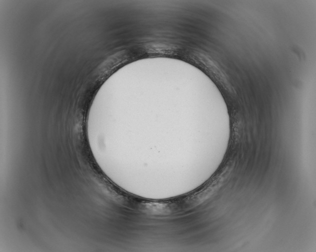 X0000111210265200907291257