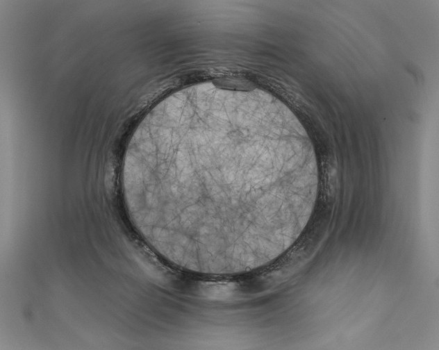 X0000111210266200907291258