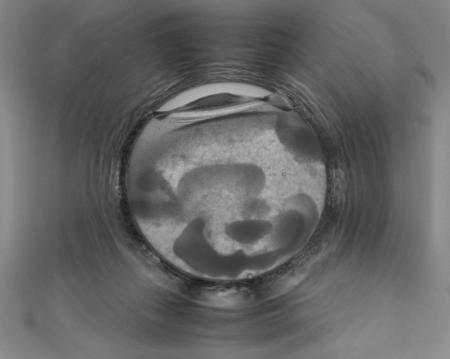 X0000111210267200907291258