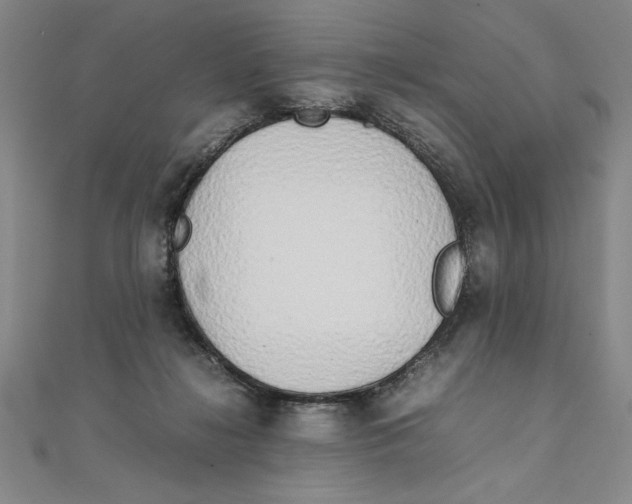 X0000111210268200907291258