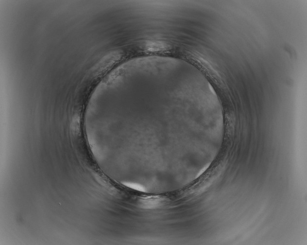 X0000111210269200907291258