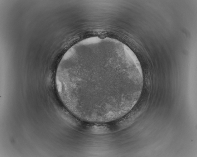 X0000111210270200907291258