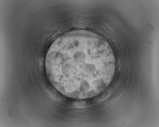 X0000111210271200907291258