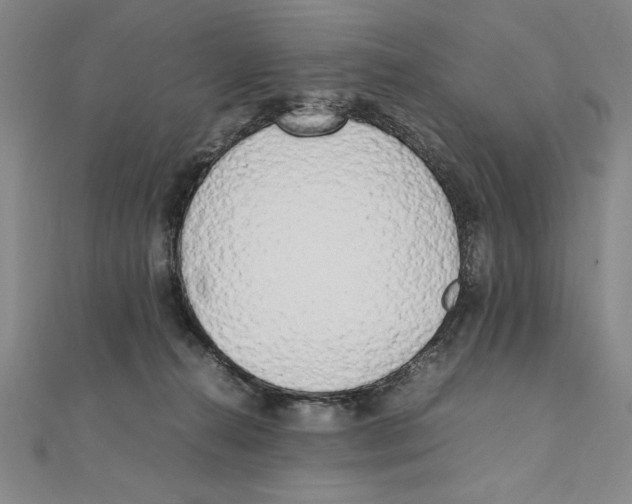 X0000111210272200907291258