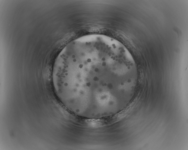 X0000111210273200907291258