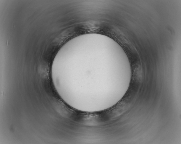 X0000111210274200907291258