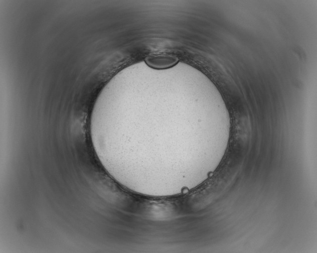 X0000111210275200907291258