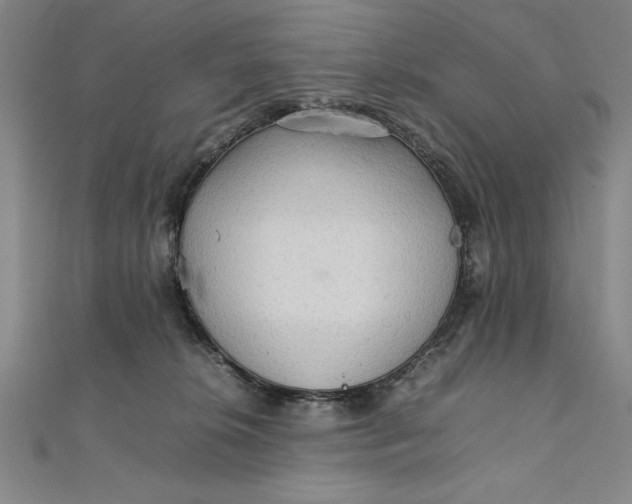 X0000111210276200907291258