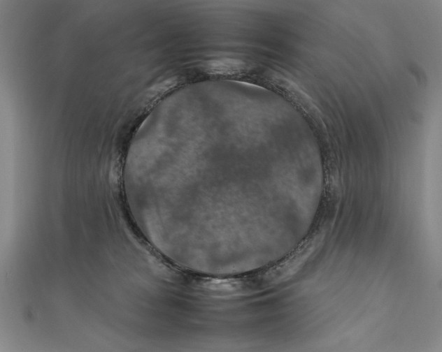 X0000111210277200907291258