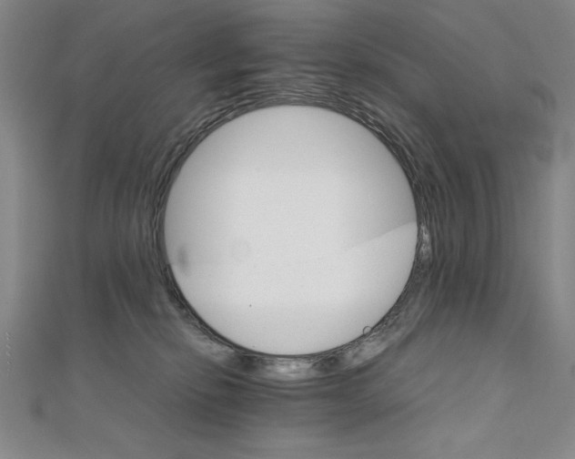 X0000111210278200907291258