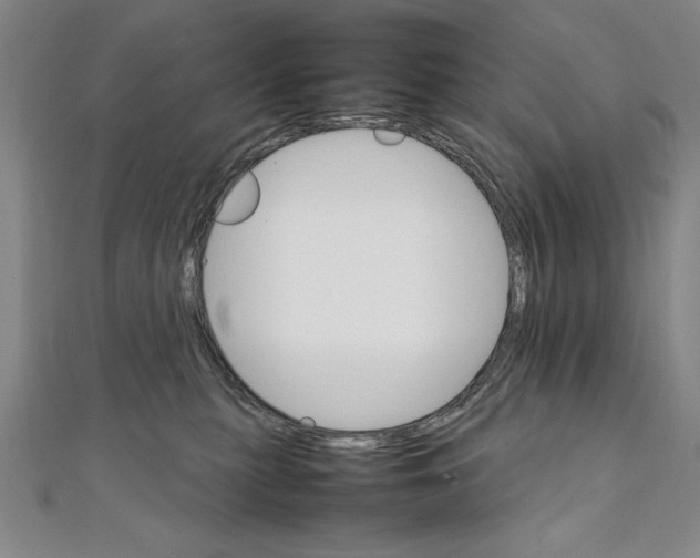 X0000111210279200907291258