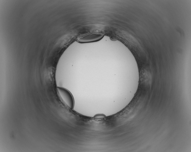 X0000111210280200907291258