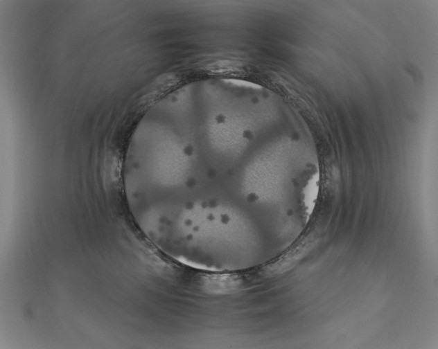 X0000111210281200907291258