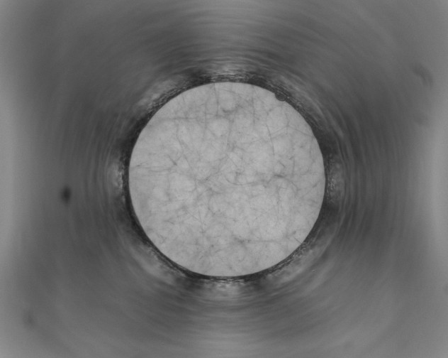 X0000111210282200907291258