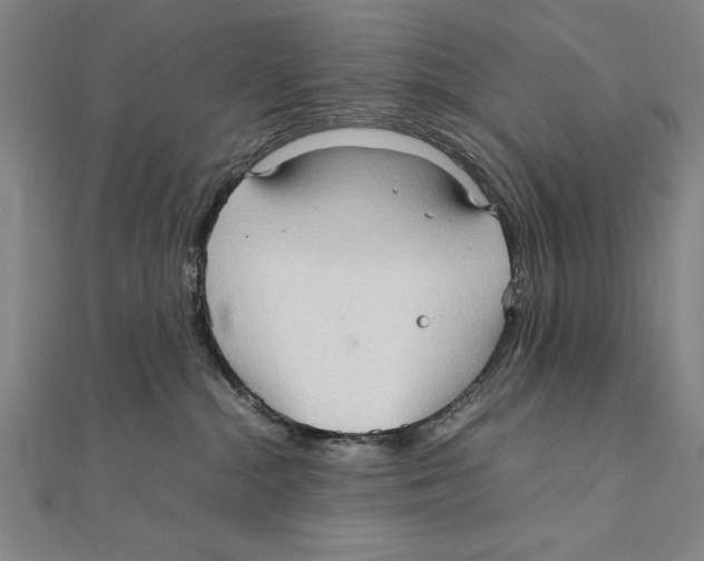 X0000111210284200907291258