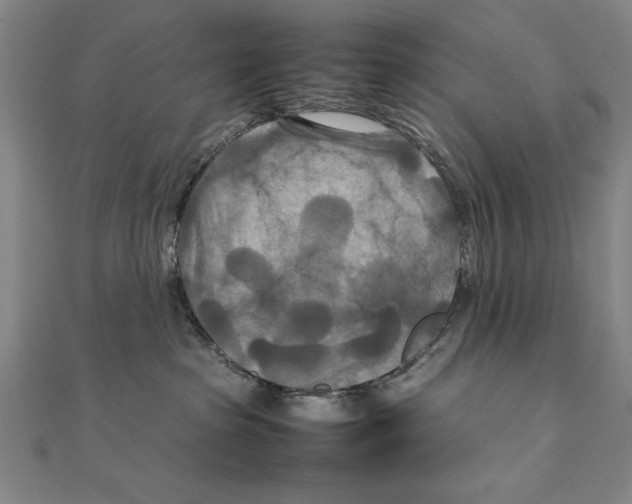 X0000111210285200907291258