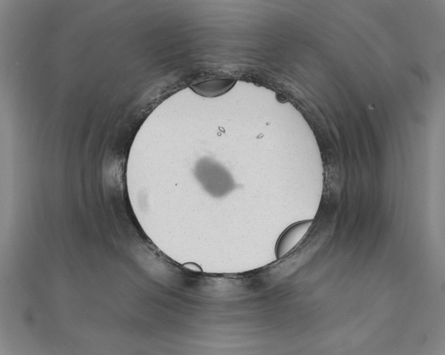 X0000111210286200907291258