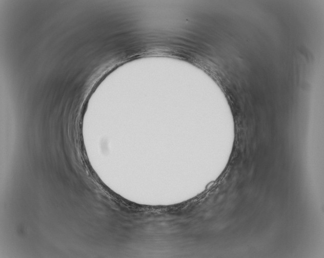 X0000111210289200907291257