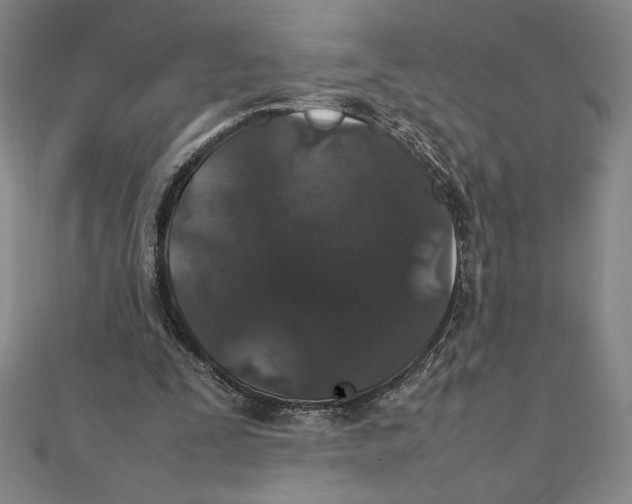 X0000111210295200907291257