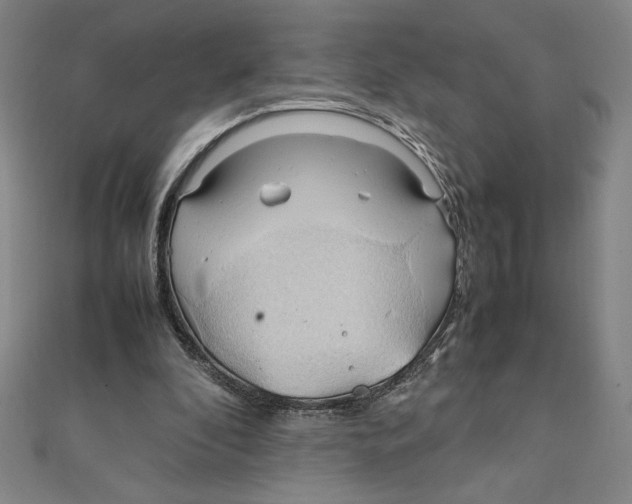 X0000111210296200907291257