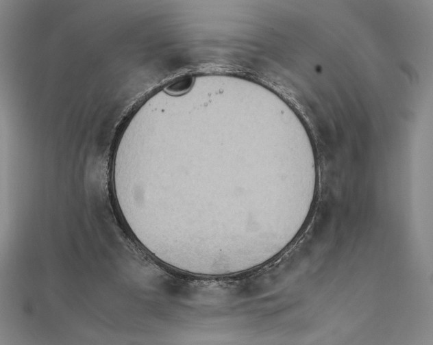 X0000111210297200907291257