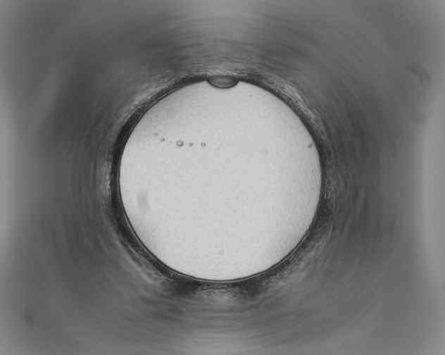 X0000111210299200907291257