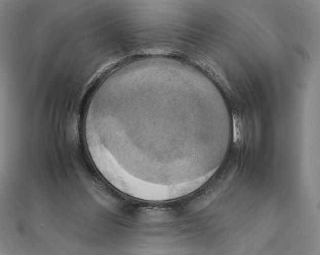 X0000111210300200907291257