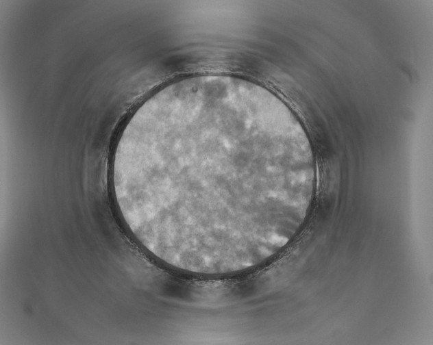 X0000111210301200907291257