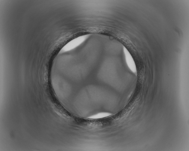 X0000111210303200907291257