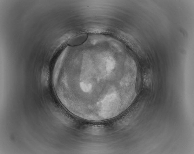 X0000111210304200907291257