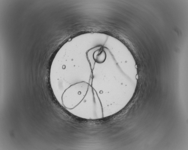 X0000111210305200907291257