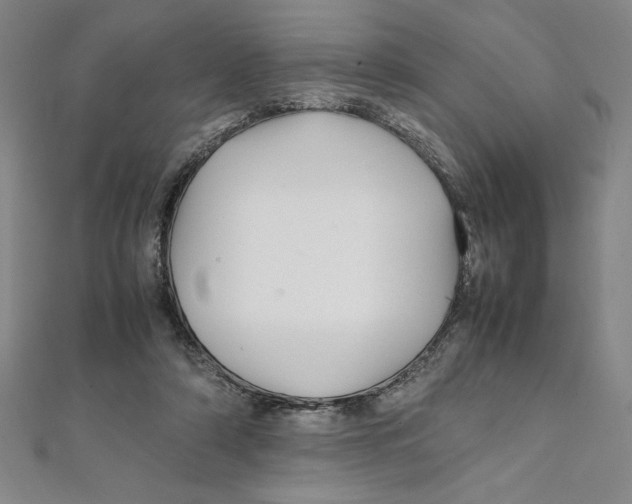 X0000111210306200907291257