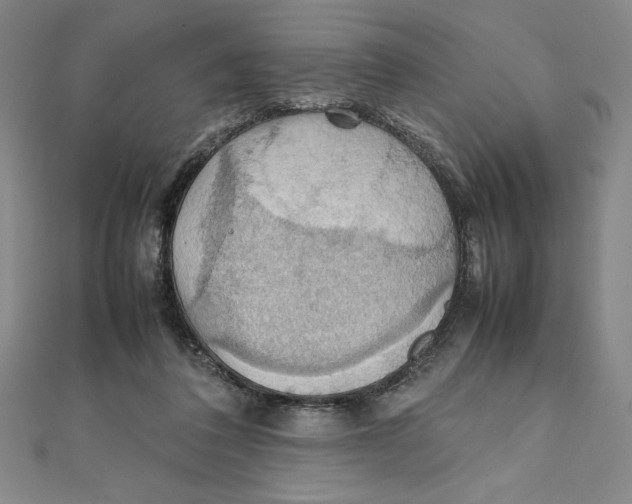 X0000111210308200907291257