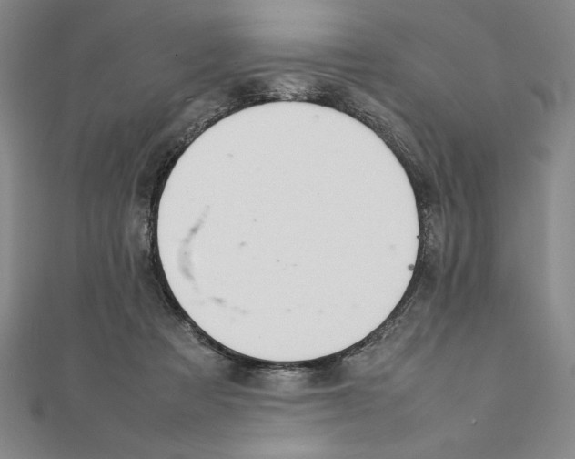 X0000111210313200907291257