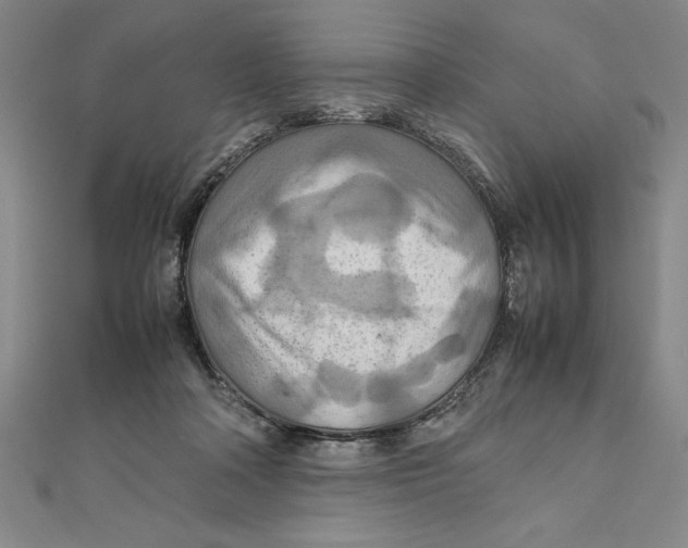 X0000111210314200907291257