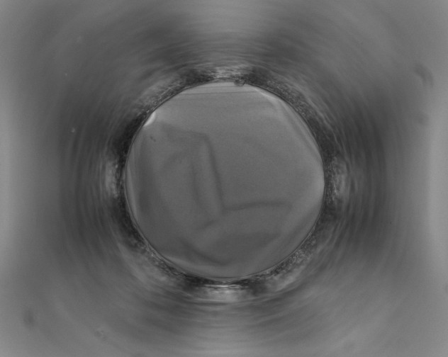 X0000111210316200907291257