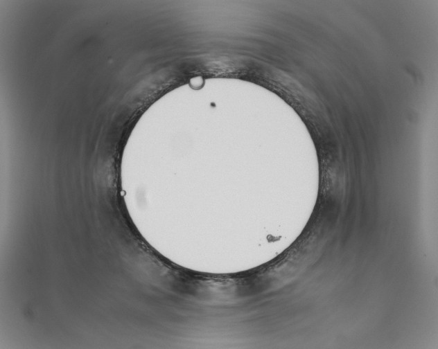 X0000111210317200907291257