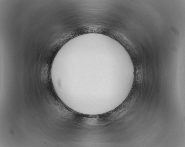 X0000111210318200907291257