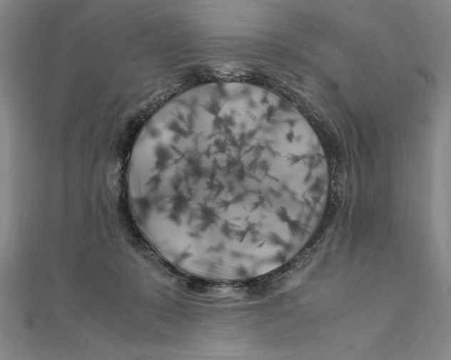 X0000111210319200907291257