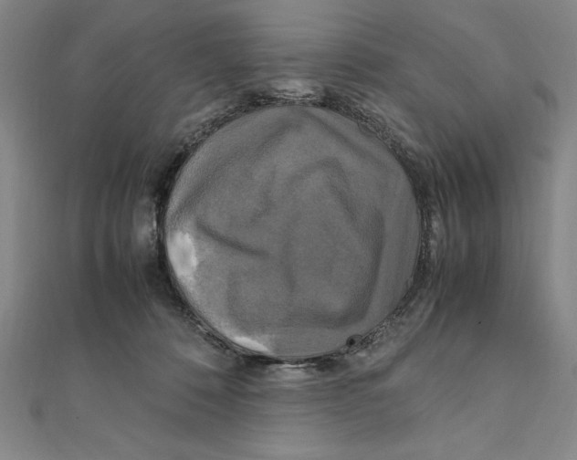 X0000111210320200907291257